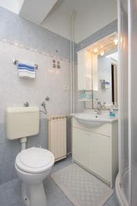 a bathroom with a toilet and a sink at Apartments with a parking space Novigrad - 7121 in Novigrad Istria