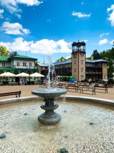 a fountain in the middle of a courtyard with buildings at Amelia Zdroj Medical & Spa in Iwonicz-Zdrój