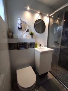 małą łazienkę z toaletą i umywalką w obiekcie Domki Maharówka Ostrowo w Ostrowie