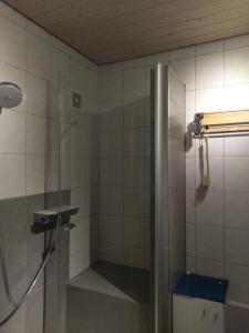 y baño con ducha y puerta de cristal. en Aalens schönste Aussicht, en Aalen