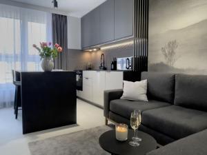 sala de estar con sofá y cocina en URBAN APARTMENTS PREMIUM DOWNTOWN Opolska 10 No 69 with GARAGE, en Katowice