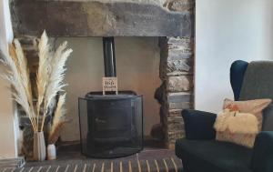 a fireplace with a stove in a living room at Green Cottage - Snowdonia in Llanllechid
