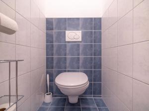 a bathroom with a white toilet and blue tiles at Beautiful Apartment in Stubaital in a quiet location in Neustift im Stubaital