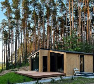 a tiny house in the middle of a forest at Brama Do Lasu - Domek Mocy in Borków