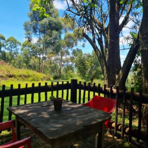 Fotografie z fotogalerie ubytování La Luna @ Misty Mountains v destinaci Studholme