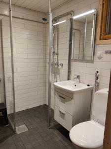 La salle de bains est pourvue de toilettes, d'un lavabo et d'une douche. dans l'établissement Rukan Mestari, à Ruka