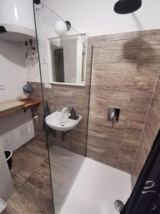 een badkamer met een wastafel en een spiegel bij Apartmán Bart's in Znojmo