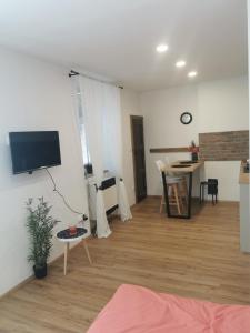 TV a/nebo společenská místnost v ubytování Apartmán Bart's + 9 fotografií
