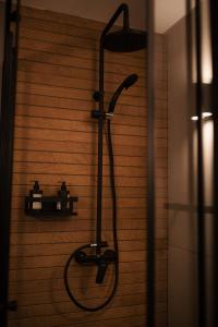 a shower in a bathroom with a shower head at KONTAINERLOFT in Laz