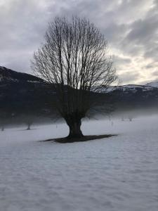 Príroda v okolí dovolenkového domu