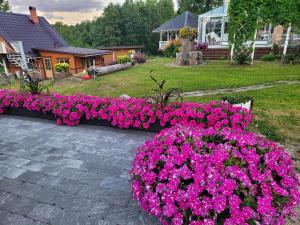 Jardí fora de Neitsijärve majutus