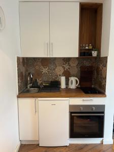 Kuhinja ili čajna kuhinja u objektu Apartman Thalia