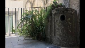 ナポリにあるLa Galleriaの塀の横に座る植物