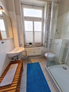 uma casa de banho com um lavatório, um chuveiro e um WC. em Ferienwohnungen in Schlossnähe em Schwerin