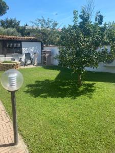 Zahrada ubytování Casa di Paola mare Ardea