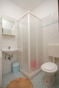 a bathroom with a shower and a toilet and a sink at Apartments with a parking space Liznjan, Medulin - 7214 in Ližnjan