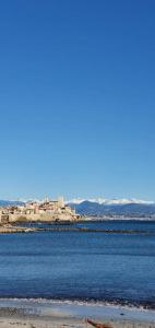 a large body of water with buildings in the background at Tribuperez à Juan-Antibes in Juan-les-Pins