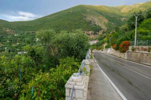 un camino vacío con una montaña en el fondo en Villa Ani, en Borsh