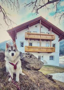 Príroda v okolí apartmánu
