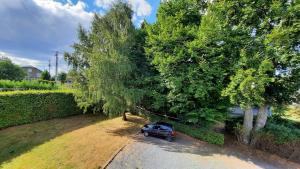 a car parked under a tree on a driveway at Gîte rural Hubermont & Merveilles in Ortho