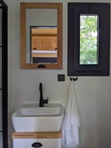 a bathroom with a sink and a mirror at Jungle Wagon - Ecovillage Hainburg in Hainburg an der Donau