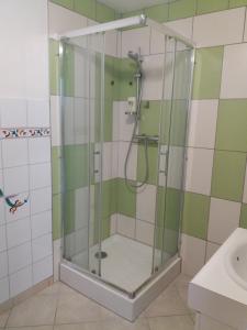 La salle de bains est pourvue d'une douche avec une porte en verre. dans l'établissement Appartement meublé agréable au cœur du massif du Jura, à Malpas
