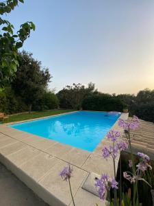een zwembad in een tuin met paarse bloemen bij Ses Alzines Apartamento integrado en Casa Rural Habitada in Llucmajor