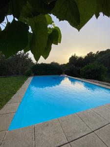 uma piscina azul num quintal em Ses Alzines Apartamento integrado en Casa Rural Habitada em Llucmajor