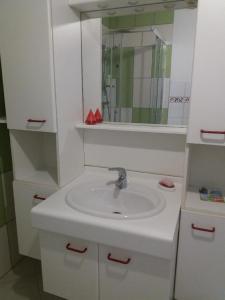 uma casa de banho branca com um lavatório e um espelho em Appartement meublé agréable au cœur du massif du Jura em Malpas