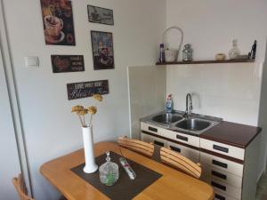 Dapur atau dapur kecil di Apartman Centar