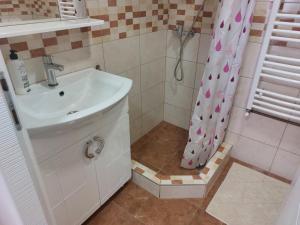 Bilik mandi di Apartman Centar