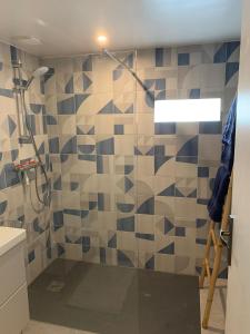 a bathroom with a shower with blue and white tiles at L'echappée briarde in Marles-en-Brie