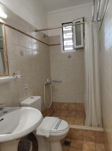ein Bad mit einem WC, einem Waschbecken und einer Dusche in der Unterkunft Hotel Ritsa in Kamena Vourla