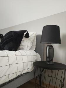 a bed with a black pillow and a lamp on a table at Stodoły Koło Wody Niwka in Niwka +21 photos
