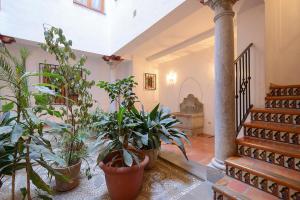 Fotografia z galérie ubytovania Apartamento Concepción Granada Centro v destinácii Granada