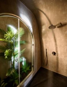 a room with a window with a plant in it at Lotus Cave Villa in Fira