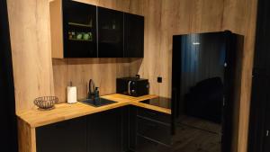 a kitchen with a counter with a sink and a microwave at Apartament 67 in Brzeziny