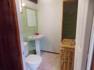 a bathroom with a white toilet and a sink at Pension Vaimano-Raivavae in Vaiuru