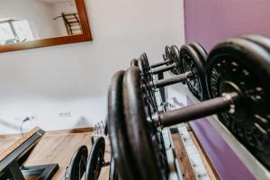 Fitness centrum a/nebo fitness zařízení v ubytování Vitalhotel Gosau