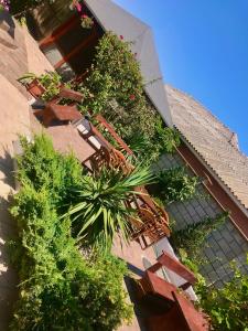 a group of chairs and plants on the side of a building at CASA DENIZ in 2 Mai