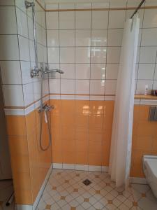 y baño con ducha y cortina de ducha. en Kamin-Stuuv, en Stubbendorf