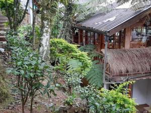 budynek ze słomianym dachem i roślinami w obiekcie Kingfern w mieście Nuwara Eliya