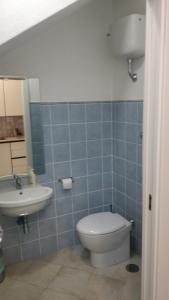 een blauw betegelde badkamer met een toilet en een wastafel bij Agriturismo Lo Scoiattolo in Ronciglione