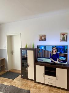 a living room with a flat screen tv on a entertainment center at Ferienwohnung H&M Immobilien Hettstedt 2 in Hettstedt