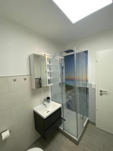 a bathroom with a sink and a glass shower at Ferienwohnung H&M Immobilien Hettstedt 2 in Hettstedt