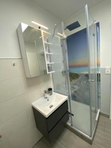 a bathroom with a sink and a glass shower at Ferienwohnung H&M Immobilien Hettstedt 2 in Hettstedt