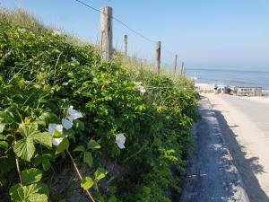 Φυσικό τοπίο κοντά σε αυτό το διαμέρισμα +2 φωτογραφίες