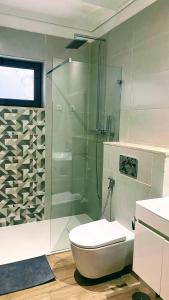 La salle de bains est pourvue de toilettes et d'une douche en verre. dans l'établissement Sea Views Apartments Gamboa, à Praia