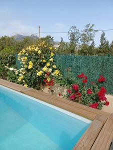 Bazén v ubytovaní maison cosy climatisée avec piscine et jardin alebo v jeho blízkosti