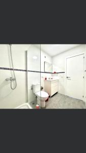 a bathroom with a sink, toilet, and shower stall at Apartamentos Harizan in Agaete
